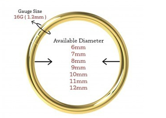 Dimensión de perforación con bisagras de la obra clásica 6-12m m de la nariz del oro del segmento 18K